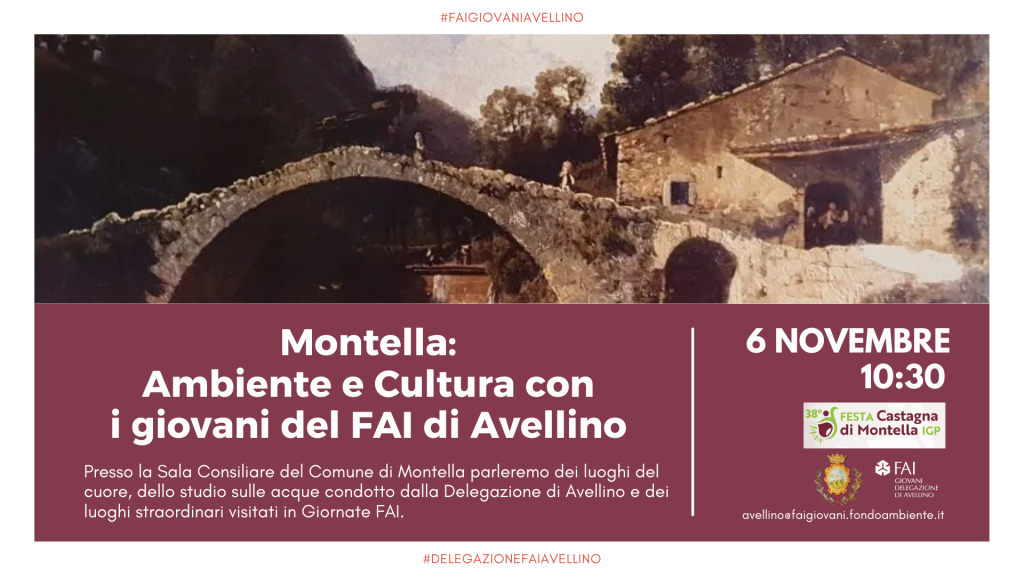 FAI Avellino - 6 novembre - Montella