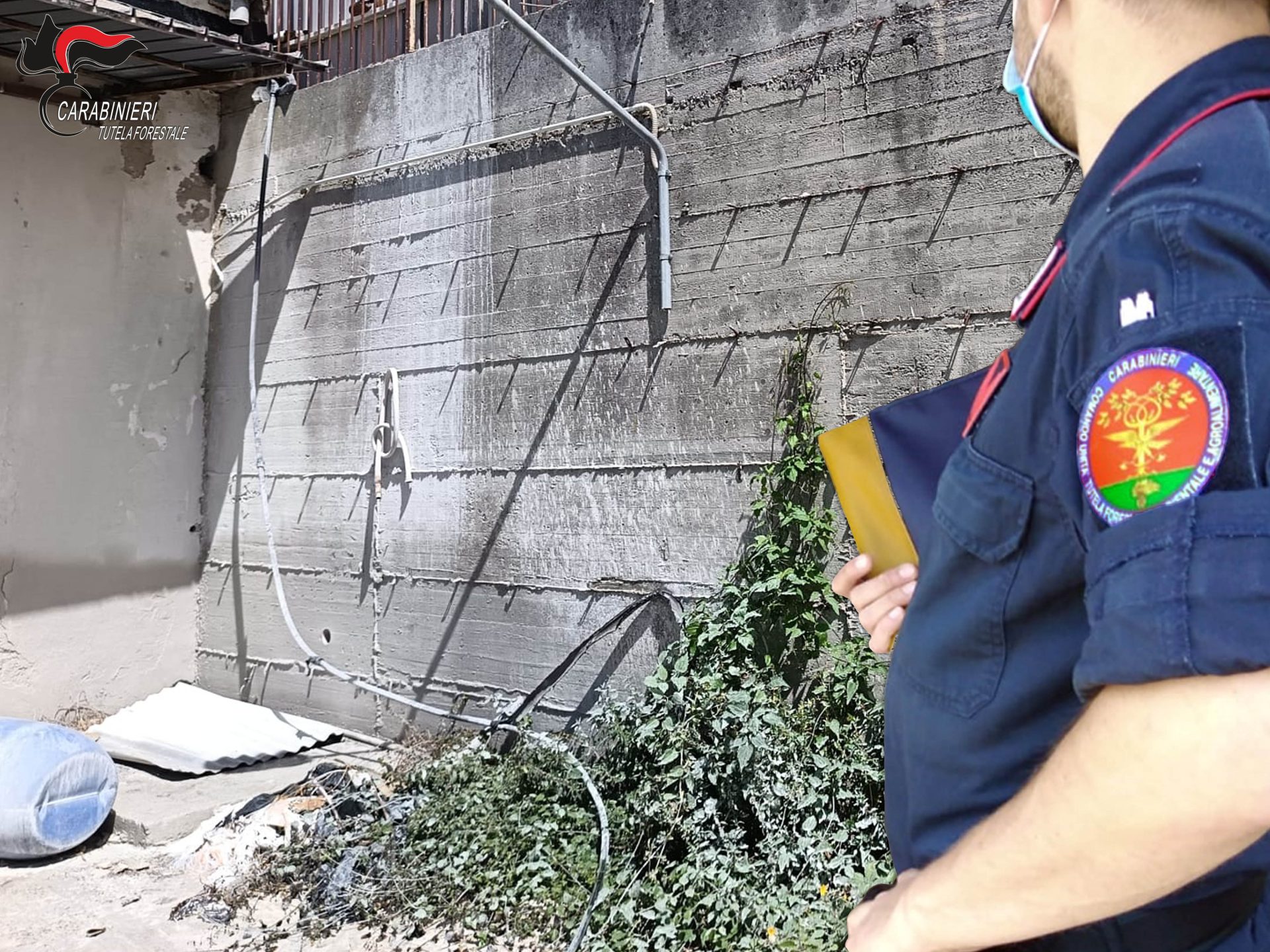 Image default